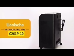 C261P-10 Mikroschnittpapier-Schredder